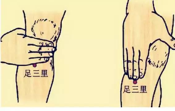 最全中医名言总结（赶紧抄下来，慢慢学习）