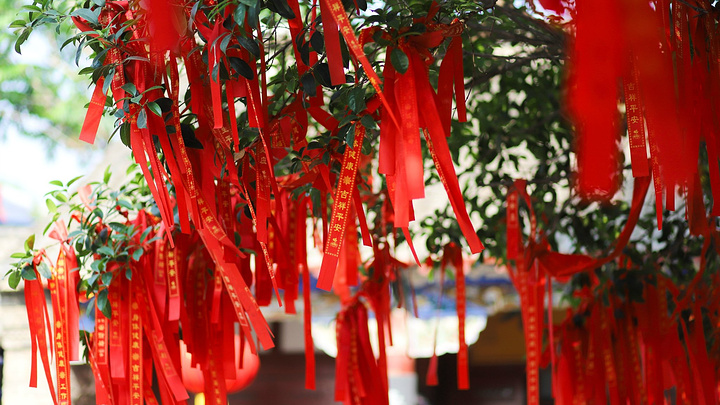 "参观了中医药起源、中医药五千年发展史、华佗和他的中医药成果、中医药资源和亳州现代中医药文化发展..._华祖庵"的评论图片