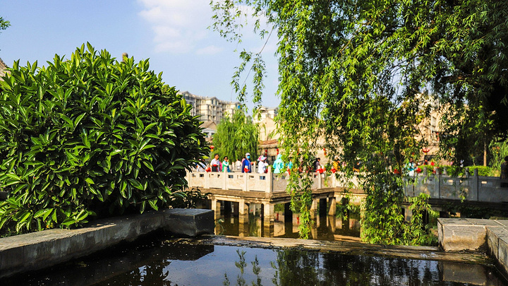 "参观了中医药起源、中医药五千年发展史、华佗和他的中医药成果、中医药资源和亳州现代中医药文化发展..._华祖庵"的评论图片